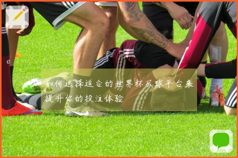 如何选择适合的世界杯买球平台来提升你的投注体验