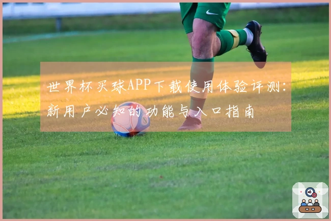世界杯买球APP下载使用体验评测：新用户必知的功能与入口指南
