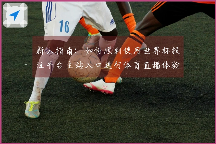新人指南：如何顺利使用世界杯投注平台主站入口进行体育直播体验