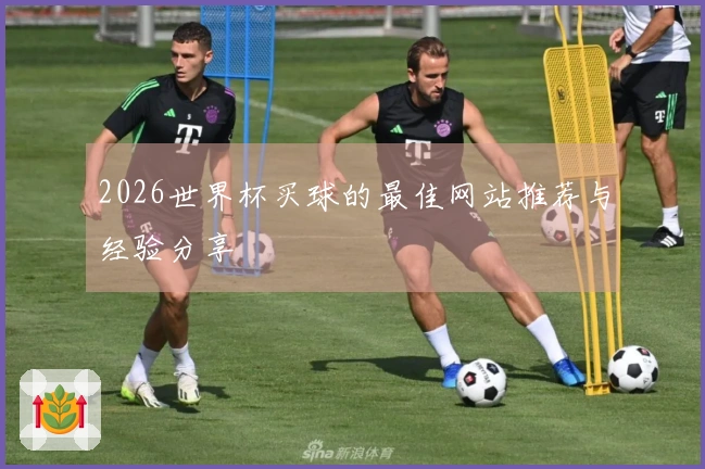 2026世界杯买球的最佳网站推荐与经验分享