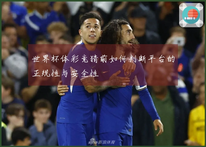世界杯体彩竞猜前如何判断平台的正规性与安全性