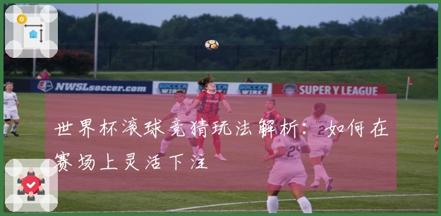 世界杯滚球竞猜玩法解析：如何在赛场上灵活下注