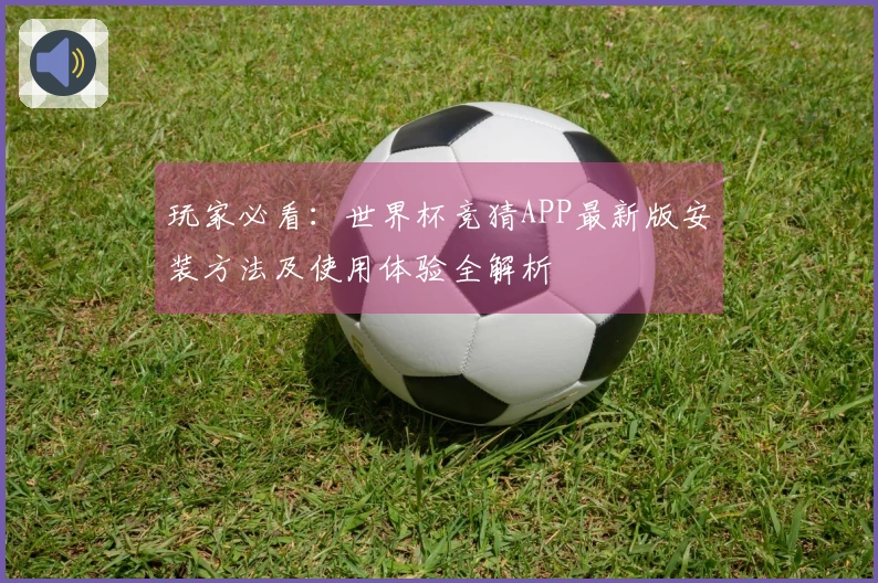 玩家必看：世界杯竞猜APP最新版安装方法及使用体验全解析