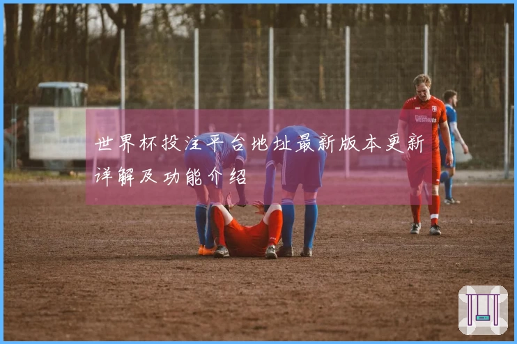 世界杯投注平台地址最新版本更新详解及功能介绍