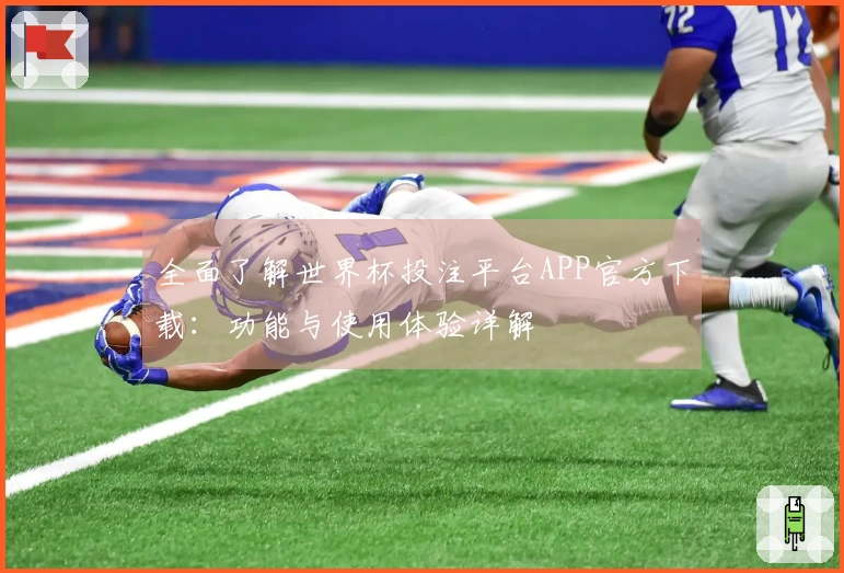 全面了解世界杯投注平台APP官方下载：功能与使用体验详解