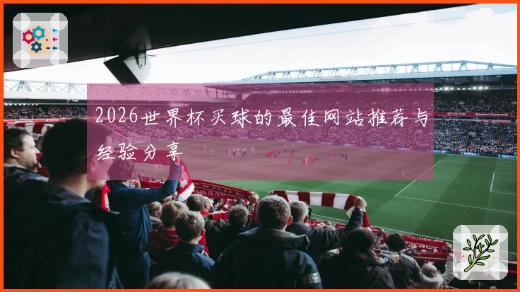 2026世界杯买球的最佳网站推荐与经验分享