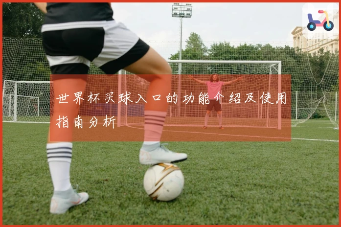世界杯买球入口的功能介绍及使用指南分析