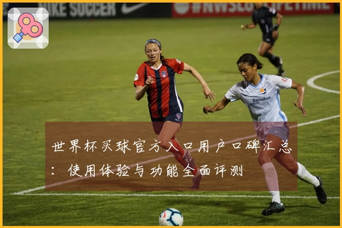 世界杯买球官方入口用户口碑汇总:使用体验与功能全面评测