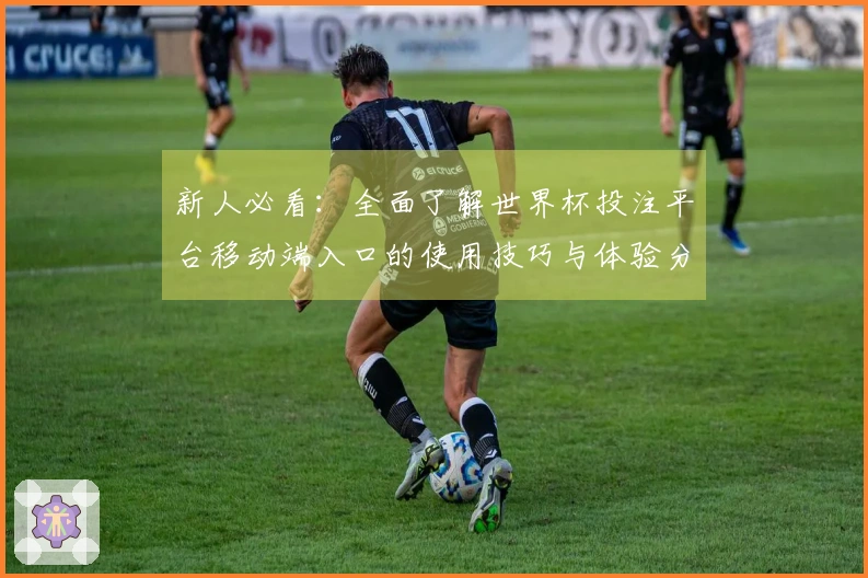 新人必看：全面了解世界杯投注平台移动端入口的使用技巧与体验分享