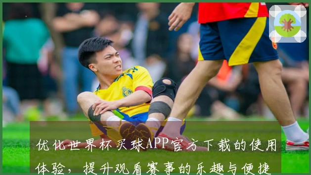 优化世界杯买球APP官方下载的使用体验，提升观看赛事的乐趣与便捷性