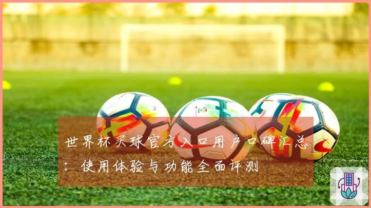 世界杯买球官方入口用户口碑汇总：使用体验与功能全面评测