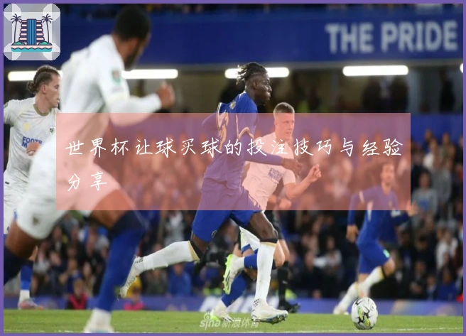 世界杯让球买球的投注技巧与经验分享