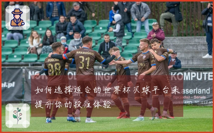 如何选择适合的世界杯买球平台来提升你的投注体验