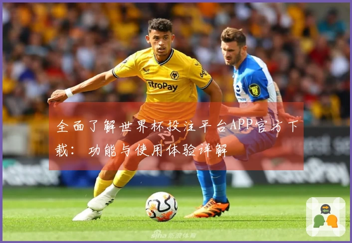 全面了解世界杯投注平台APP官方下载：功能与使用体验详解