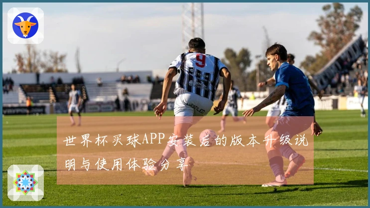 世界杯买球APP安装后的版本升级说明与使用体验分享