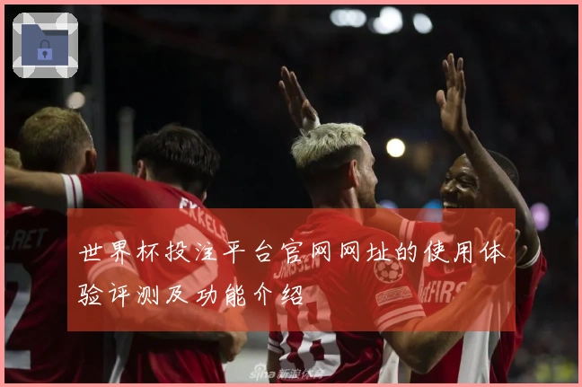 世界杯投注平台官网网址的使用体验评测及功能介绍
